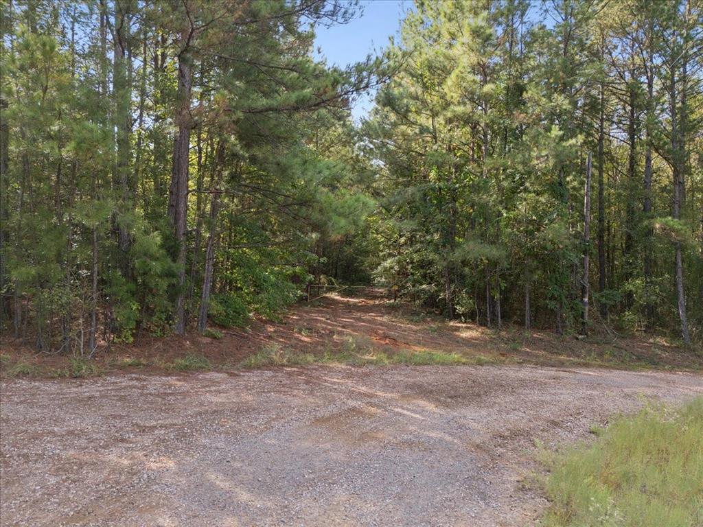 500 Uren Lee Road - Photo 7