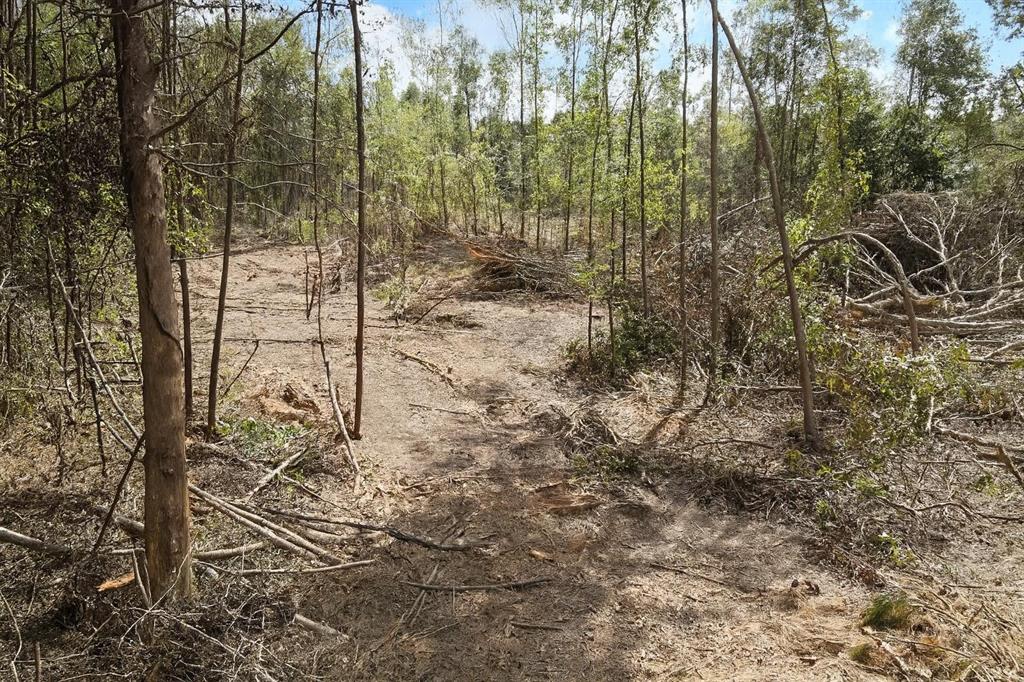 500 Uren Lee Road - Photo 8