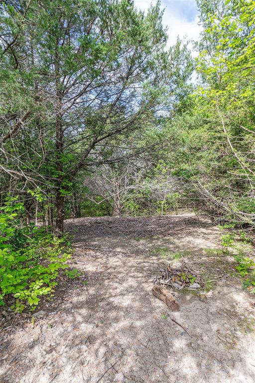 1603 Smirl Drive - Photo 12