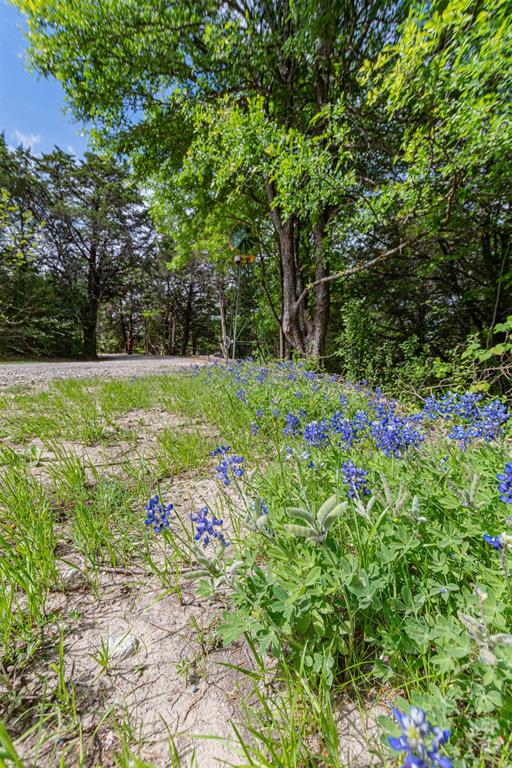 1603 Smirl Drive - Photo 14
