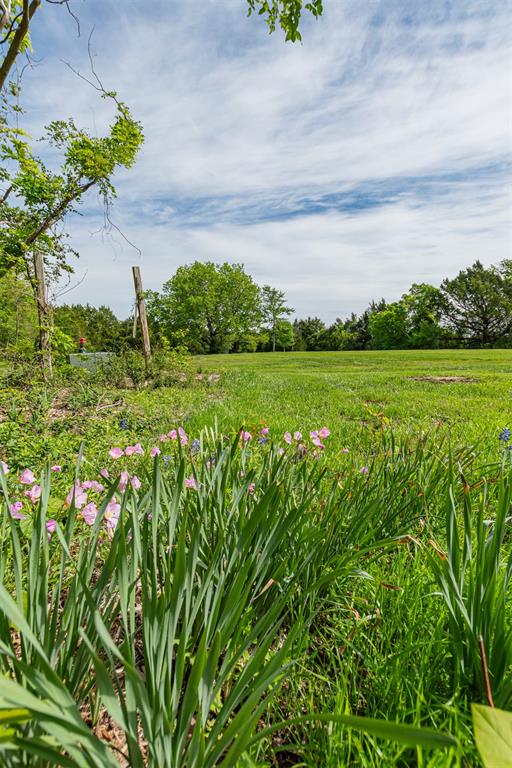 1603 Smirl Drive - Photo 8