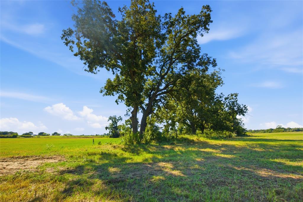 TBD Clary Road - Photo 2