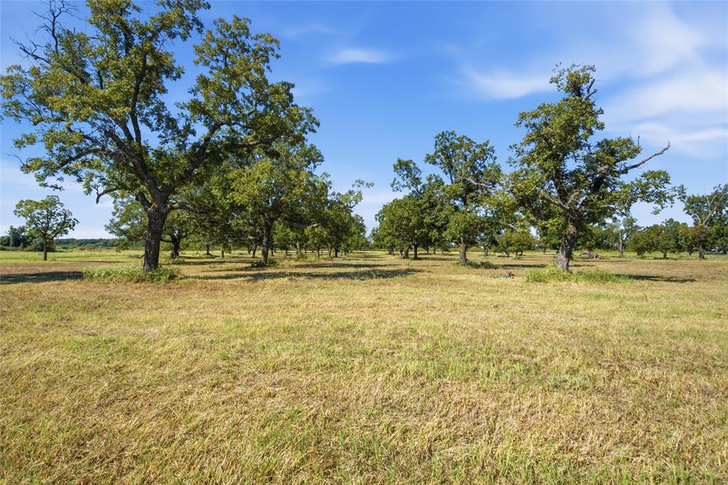 TBD Clary Road - Photo 9