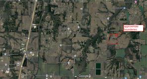 999 Harrell Road - Photo 3
