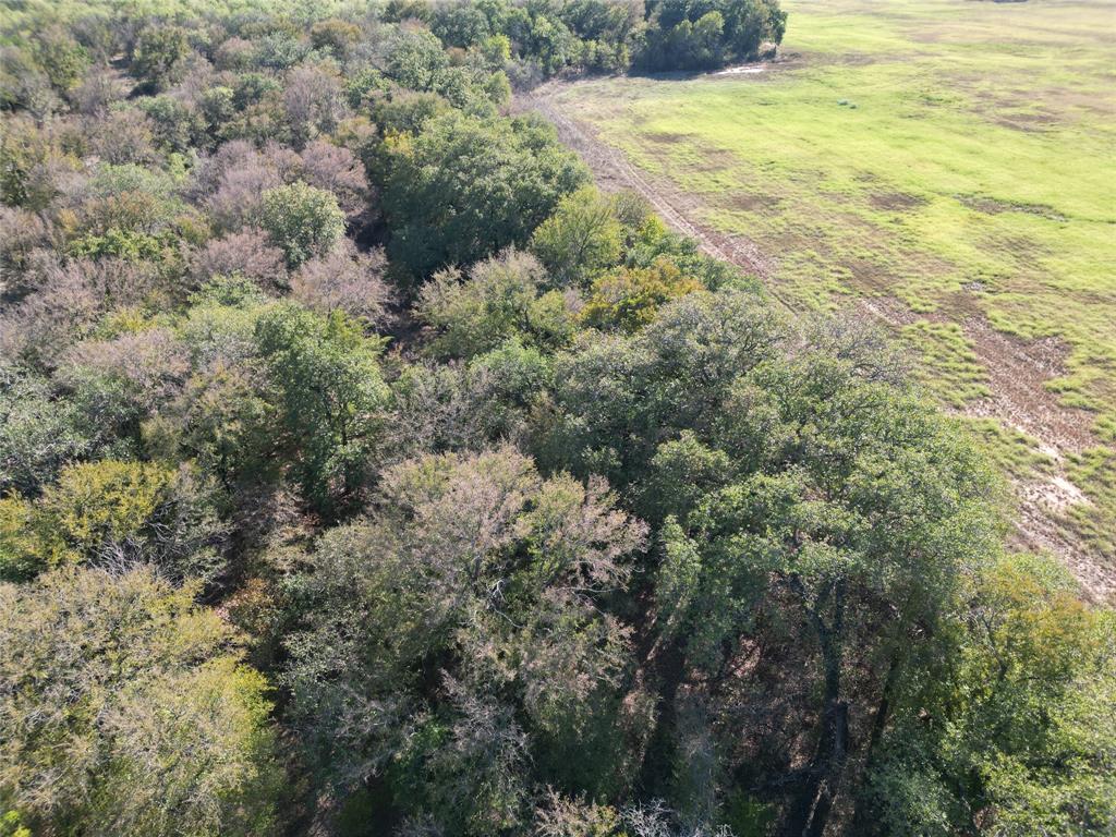 TBD CR 434 County Road 434 - Photo 10