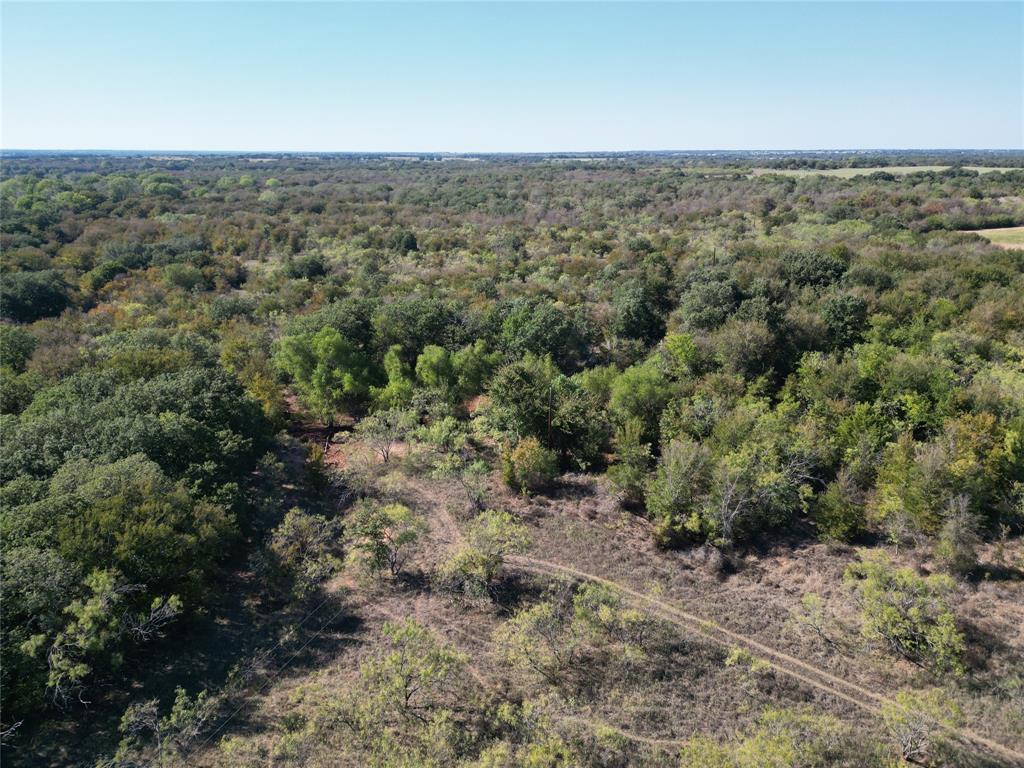 TBD CR 434 County Road 434 - Photo 12