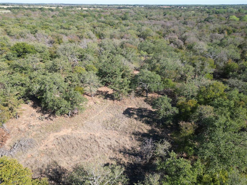 TBD CR 434 County Road 434 - Photo 17