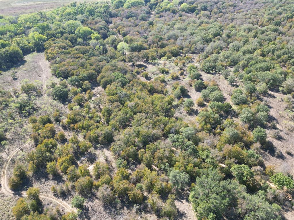 TBD CR 434 County Road 434 - Photo 25