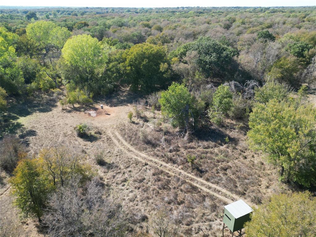 TBD CR 434 County Road 434 - Photo 3
