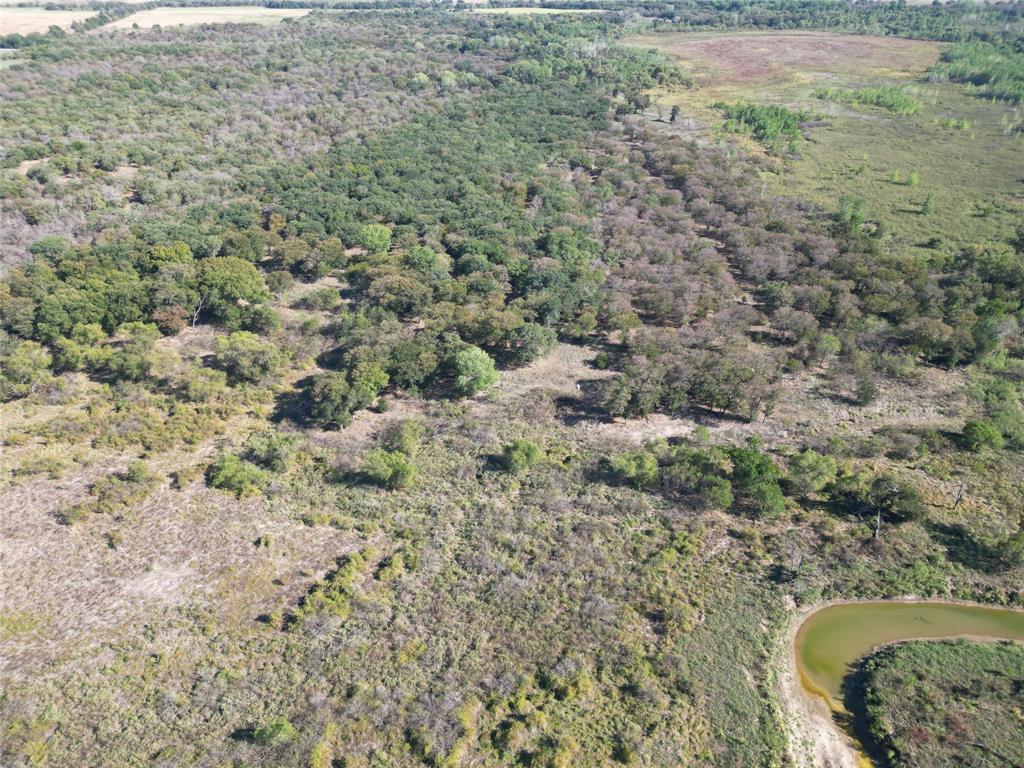 TBD CR 434 County Road 434 - Photo 4