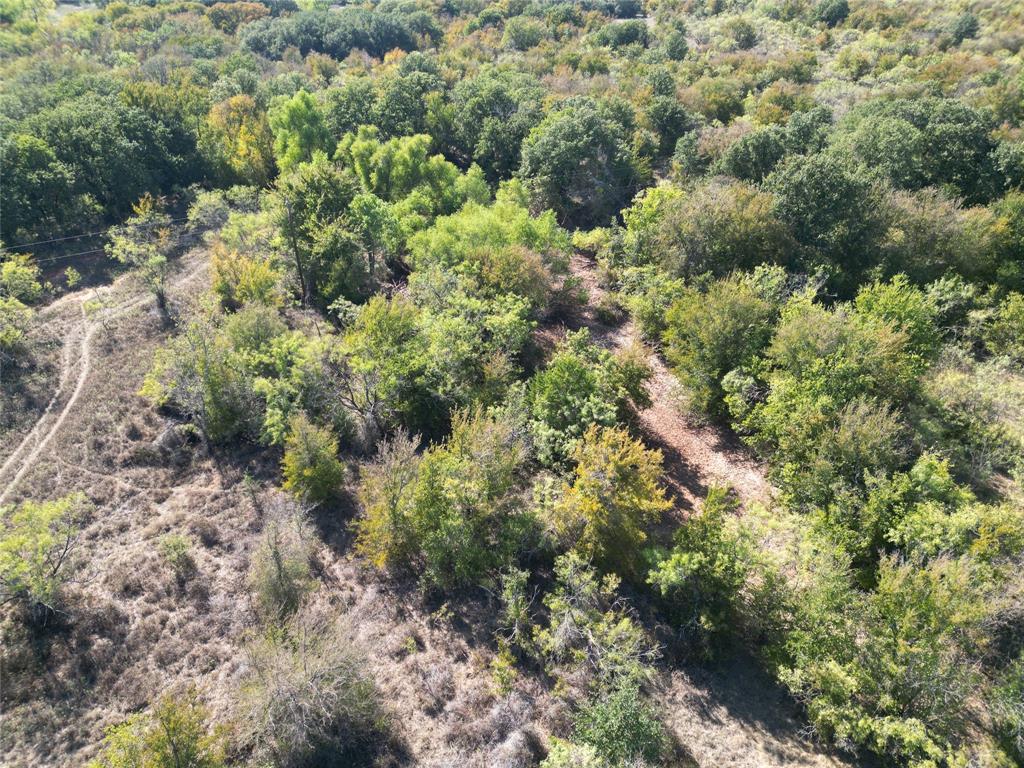 TBD CR 434 County Road 434 - Photo 7