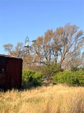 TBD County Road 117 - Photo 3