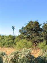 TBD County Road 117 - Photo 4