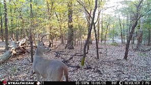 Tract 2 Prairie Grove Road - Photo 10