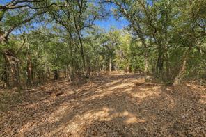 Tract 2 Prairie Grove Road - Photo 11