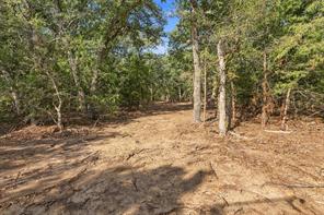 Tract 2 Prairie Grove Road - Photo 12