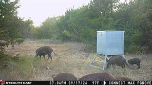 Tract 2 Prairie Grove Road - Photo 15