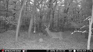 Tract 2 Prairie Grove Road - Photo 17