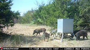Tract 2 Prairie Grove Road - Photo 18
