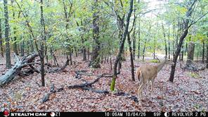 Tract 2 Prairie Grove Road - Photo 19