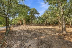 Tract 2 Prairie Grove Road - Photo 3