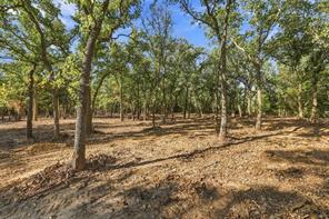 Tract 2 Prairie Grove Road - Photo 4