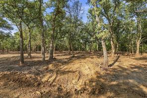 Tract 2 Prairie Grove Road - Photo 5