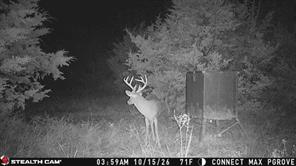 Tract 2 Prairie Grove Road - Photo 6