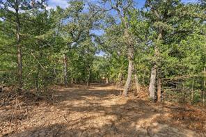 Tract 2 Prairie Grove Road - Photo 8