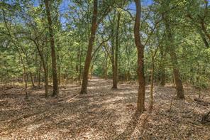 Tract 2 Prairie Grove Road - Photo 9