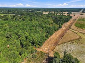 40.54acres TBD County Road 2314 - Photo 11
