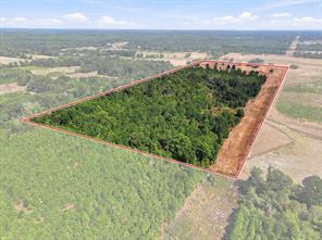 40.54acres TBD County Road 2314 - Photo 12