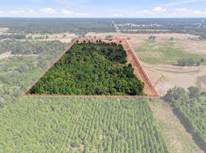 40.54acres TBD County Road 2314 - Photo 15
