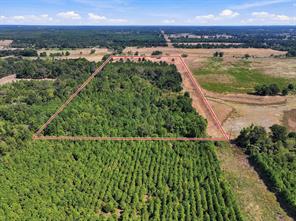 40.54acres TBD County Road 2314 - Photo 16