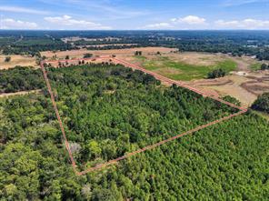 40.54acres TBD County Road 2314 - Photo 19