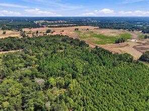 40.54acres TBD County Road 2314 - Photo 20