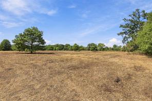 40.54acres TBD County Road 2314 - Photo 23
