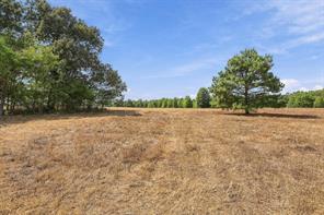 40.54acres TBD County Road 2314 - Photo 24