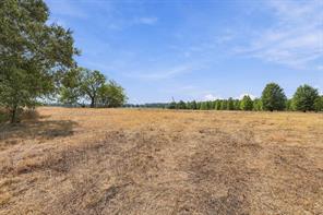 40.54acres TBD County Road 2314 - Photo 25