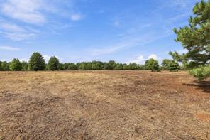 40.54acres TBD County Road 2314 - Photo 26