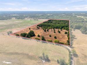 40.54acres TBD County Road 2314 - Photo 7