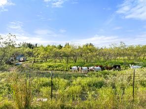 TBD I-30 Road - Photo 13