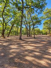 1.306+/-ac Highway 276 - Photo 4