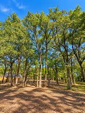 1.306+/-ac Highway 276 - Photo 6