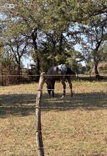 5908 County Road 608 - Photo 3