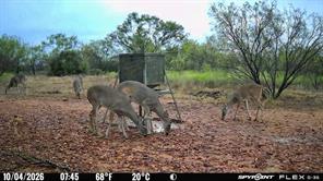 1722 FM 574 - Photo 10