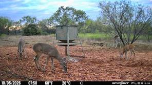 1722 FM 574 - Photo 11