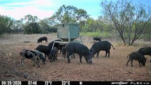 1722 FM 574 - Photo 12