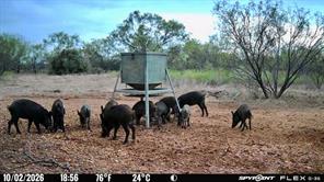 1722 FM 574 - Photo 13