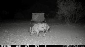 1722 FM 574 - Photo 14
